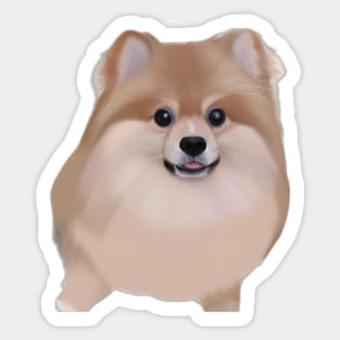 Cute Pomeranian Drawing Sticker